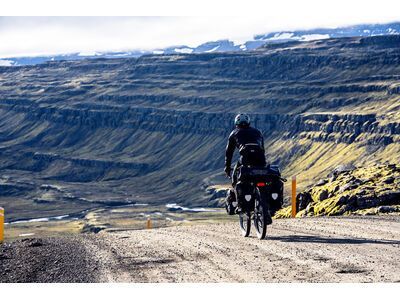 ORTLIEB Back-Roller Free Single QL3.1, black - Bild 17