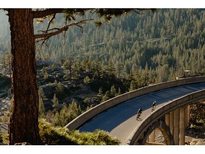 Specialized Turbo Creo 2 Comp Carbon, cypress metallic/black liquid metal - Bild 15