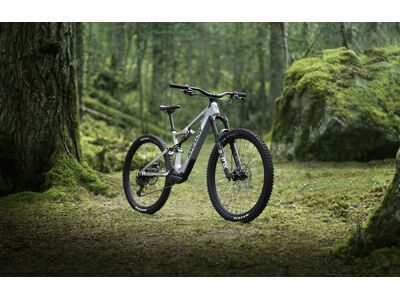 ***2. Wahl*** Amflow PL Carbon - 800 Wh satin silver - Bild 12