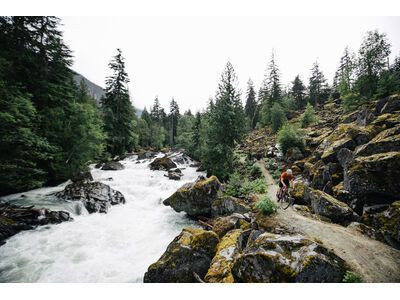 Santa Cruz Stigmata CC / Apex, british racing green - Bild 15