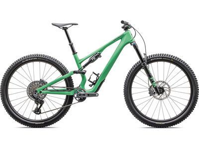 Specialized Stumpjumper 15 Expert - 29/29 electric green/forest green
