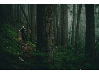 Santa Cruz Vala C / GX AXS / MX, gloss grey - Bild 9