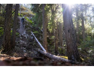 Santa Cruz Nomad C / 90 / MX, matte black - Bild 16