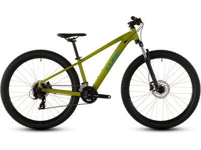 Cube Acid 260 Disc lizard´n´blue