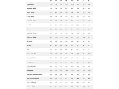 Specialized Roubaix SL8 Sport – Shimano 105, metallic obsidian/birch - Bild 5