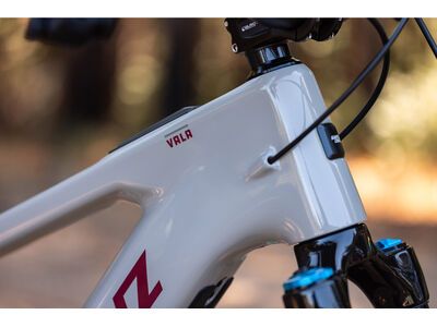 Santa Cruz Vala C / 90 / MX, gloss grey - Bild 6