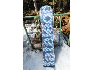 Bataleon Distortia - Bild 6