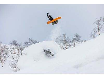 Bataleon Party Wave - Bild 8