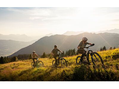 Focus Jam² 6.8 - 800, nepalsilver / steelgrey - Bild 11