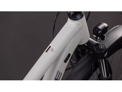 Cube Aim Pro FE 29, greige´n´titan - Bild 2