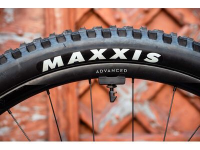 Cube AMS Hybrid One44 C:68X Super TM 400X 29, dustyolive´n´gold - Bild 30