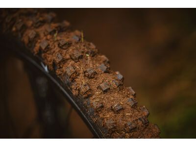 Schwalbe Shredda Front Radial Addix Ultra Soft Gravity Pro - 29 Zoll - Bild 14