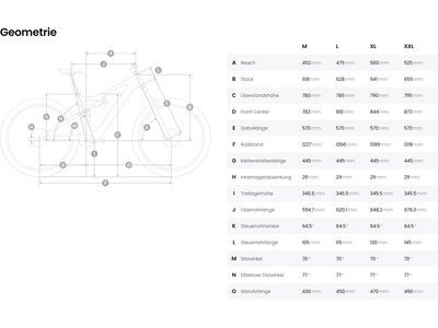 ***2. Wahl*** Amflow PL Carbon - 800 Wh satin silver - Bild 8