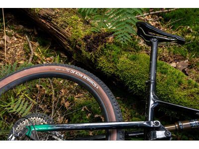 Schwalbe Rick XC Pro Evo Addix Speed TLR - 29 Zoll, transp. sidewall - Bild 22