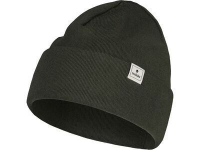 Maloja FullunsM., alpine woods