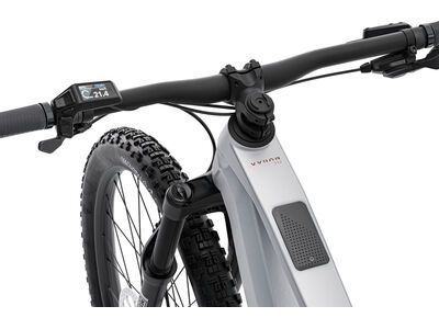 Conway Xyron S 2.0, alu raw matt/rust red matt - Bild 3