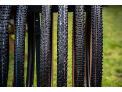Schwalbe Rick XC Pro Evo Addix SpeedGrip TLR - 29 Zoll - Bild 4