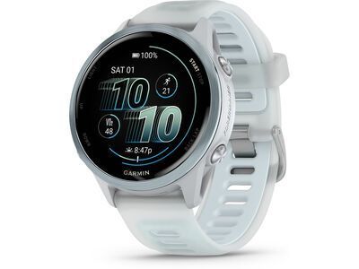 Garmin Forerunner 570 - 42 mm steinweiss/cloud blue