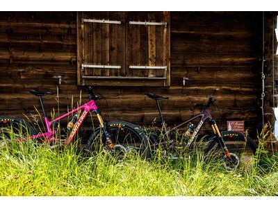 Santa Cruz Bronson C / R / MX, translucent root beer - Bild 9