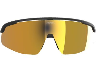 Alpina Turbo Pro Q, Gold Mirror / black matt - Bild 3