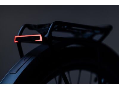 Cube Acid E-Bike Gepäckträgerrücklicht Pro-E HPP BES2, black - Bild 4