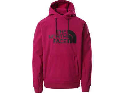 The North Face Men’s Tekno Logo Hoodie, roxbury pink