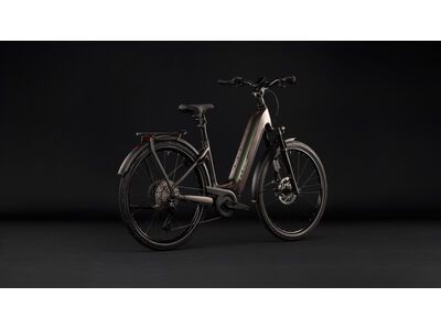 Cube Kathmandu Hybrid EXC 800 Easy Entry, stellar´n´chrome - Bild 8