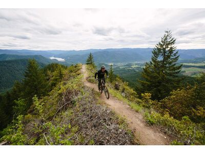 Santa Cruz Hightower C / GX AXS / 29, translucent purple - Bild 15