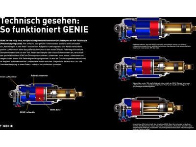 Specialized Stumpjumper 15 Expert - 29/29, electric green/forest green - Bild 12