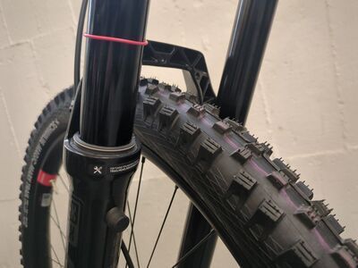 ***2. Wahl*** Santa Cruz Vala C / R / MX gloss grey - Bild 5