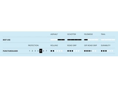 Schwalbe Land Cruiser Plus Active Green PunctureGuard - 26 Zoll, black-reflex - Bild 4