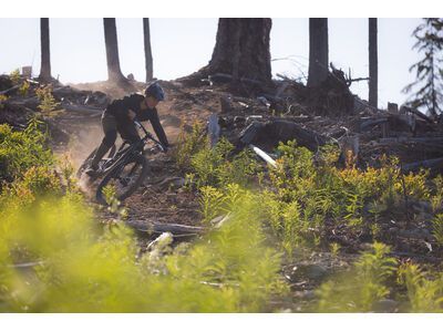 Santa Cruz Nomad C / 90 / MX, matte black - Bild 13