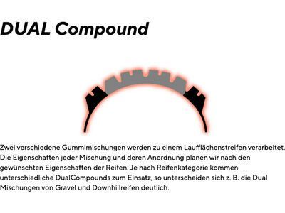 Maxxis Dissector Dual EXO WT TR - 29 Zoll - Bild 6