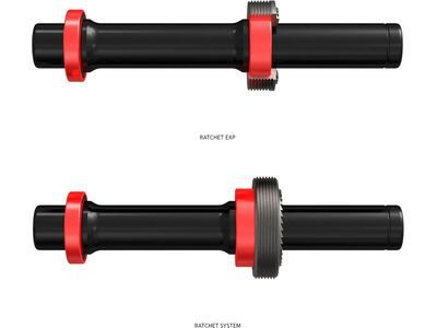 DT Swiss Rotor Kit Ratchet EXP MTB / Shimano Micro Spline - Bild 4
