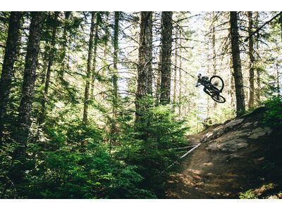 Santa Cruz Vala C / GX AXS / MX, gloss grey - Bild 12