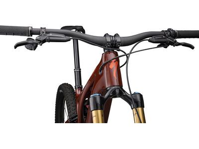 Specialized Turbo Levo Pro Carbon, gloss rusted red/satin redwood - Bild 5