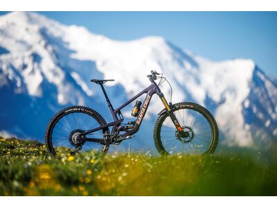 Santa Cruz Hightower C / S / 29, gloss day green - Bild 14