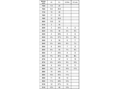 Fischer RC4 95 MV S BOA GW, snow - Bild 2