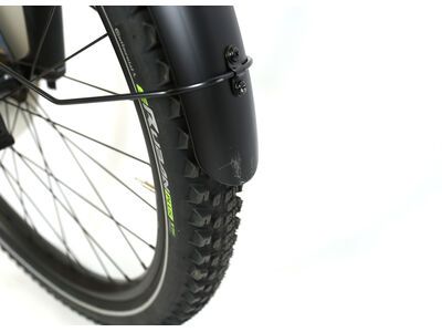 ***2. Wahl*** Cannondale Moterra EQ agave - Bild 4