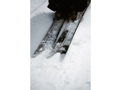 Line Sakana - Bild 17