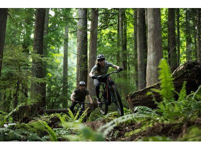 Santa Cruz Vala AL / 70 / MX, gloss lunar grey - Bild 18