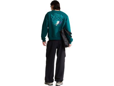 The North Face M Retro Trail Relaxed Crew Graphic, pacific teal - Bild 5