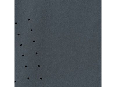 GOREWEAR Fernflow Shorts Damen, lab graphite - Bild 11