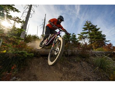 Santa Cruz Heckler SL C / GX AXS / MX, matte silver - Bild 19