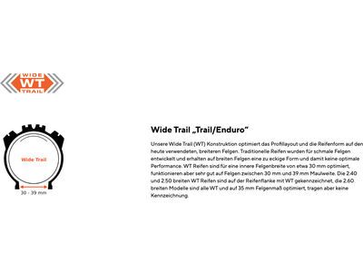 Maxxis Assegai 3C MaxxTerra EXO WT TR - 29 Zoll - Bild 6