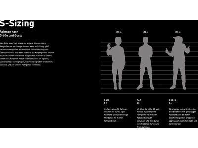 Specialized Stumpjumper 15 Öhlins Coil - 29/27.5, satin copper speckle/satin silver dust - Bild 15