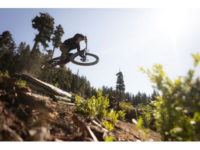 Santa Cruz Nomad C / 90 / MX, matte black - Bild 14