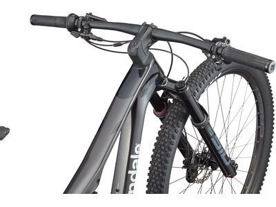 Cannondale Scalpel 4, jet black, raw carbon/mercury - Bild 3