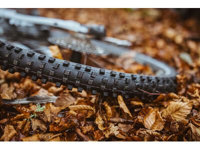 Schwalbe Shredda Rear Radial Addix Ultra Soft Gravity Pro - 27.5 Zoll - Bild 9