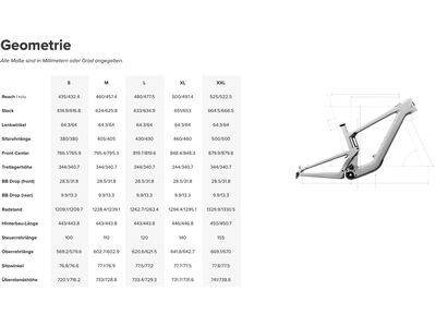 Santa Cruz Heckler SL C / GX AXS / MX, matte silver - Bild 4